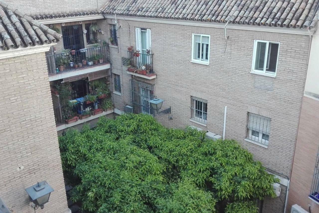Alfalfa Home 塞维利亚 外观 照片